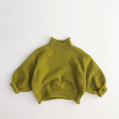 Chunky Turtleneck Sweater